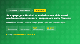 Практична робота «Яка природа в Поліссі — зоні мішаних лісів та які особливості рослинного і тваринного світу Полісся» (4 клас, Я досліджую світ, Грущинська І. В., Хитра З. М.)