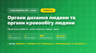 Практична робота «Органи дихання людини та органи кровообігу людини» (3 клас, Я досліджую світ, Жаркова І. І., Мечник Л. А., Роговська Л. І., Пономарьова Л. О., Антонов О. Г.)