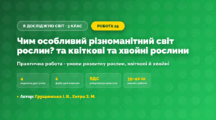 Практична робота «Чим особливий різноманітний світ рослин? та квіткові та хвойні рослини» (3 клас, Я досліджую світ, Грущинська І. В., Хитра З. М.)