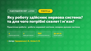 Практична робота «Яку роботу здійснює нервова система? та для чого потрібні скелет і м'язи?» (3 клас, Я досліджую світ, Грущинська І. В., Хитра З. М.)