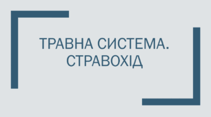 Травна система. Стравохід