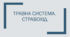 Травна система. Стравохід