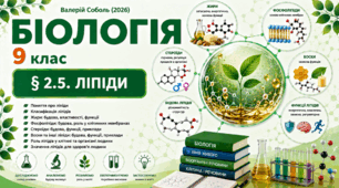 Ліпіди. Презентація, інфографіка, робочий аркуш
