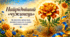 🧡🌼🧡🌼🧡🌼«Найрідніший «чужинець». Як екзотична квітка стала духовним символом та душею українського народу»🧡«Чорнобривці — душа України»🧡🌼🧡🌼🧡