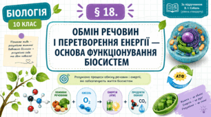 Обмін речовин і перетворення енергії — основа функціонування біосистем. Презентація, інфографіка, робочий аркуш