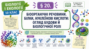 Біоорганічні речовини. Білки, нуклеїнові кислоти. Презентація, інфографіка, робочий аркуш