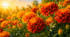 🌼🧡🌼«Із чорнобривців сплетена душа моєї мови…»🌼🧡🌼🧡🌼