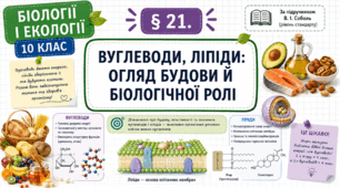 Вуглеводи, ліпіди: огляд будови й біологічної ролі. Презентація, інфографіка, робочий аркуш