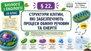 Структури клітин, які забезпечують процеси обміну речовин та енергії. Презентація, інфографіка, робочий аркуш