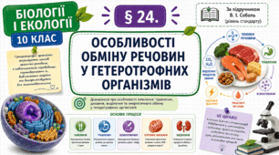 Особливості обміну речовин у гетеротрофних організмів. Презентація, інфографіка, робочий аркуш