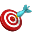 🎯
