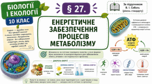 Енергетичне забезпечення процесів метаболізму. Презентація, інфографіка, робочий аркуш