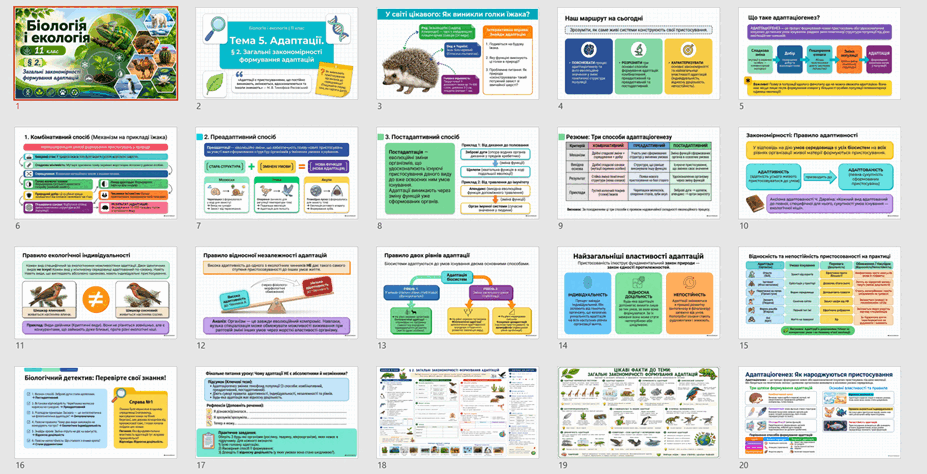0902adeo-c109-927x474.png