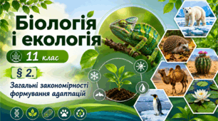 Загальні закономірності формування адаптацій. Презентація, інфографіка, робочий аркуш