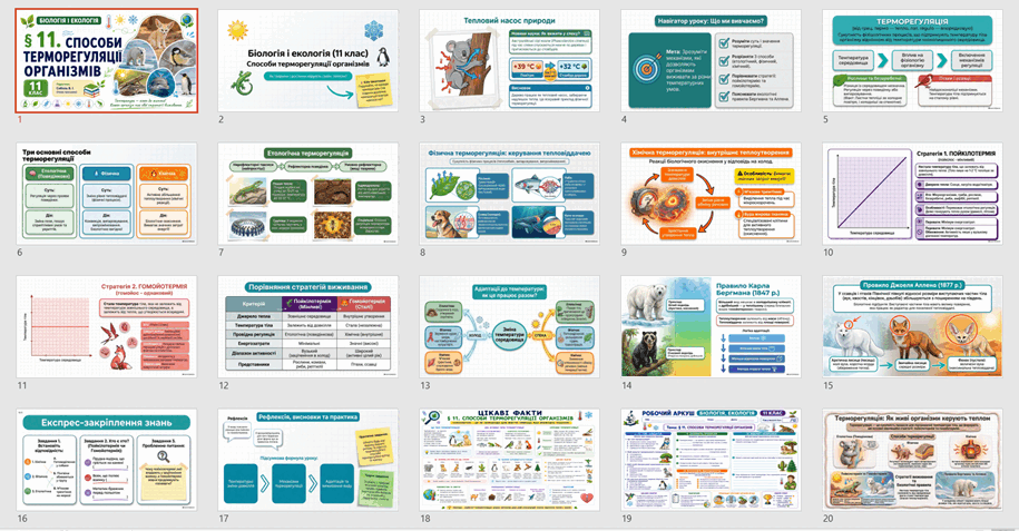 0902aei3-f8a7-915x477.png