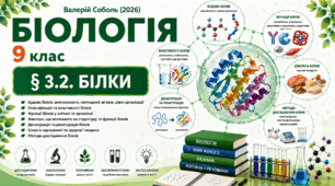 Білки. Презентація, інфографіка, робочий аркуш