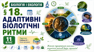 Адаптивні біологічні ритми. Презентація, інфографіка, робочий аркуш