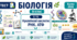 Біологія як комплексна наука. Місце біології серед інших наук