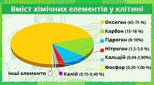 4. Класифікація хімічних елементів за їхнім вмістом в організмах