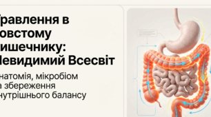 Презентація "Травлення в товстому кишечнику" 10 клас (проф)