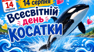🗓 14 серпня 🌏 Всесвітній день косатки