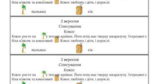 Списування, українська мова, 2 клас, нуш