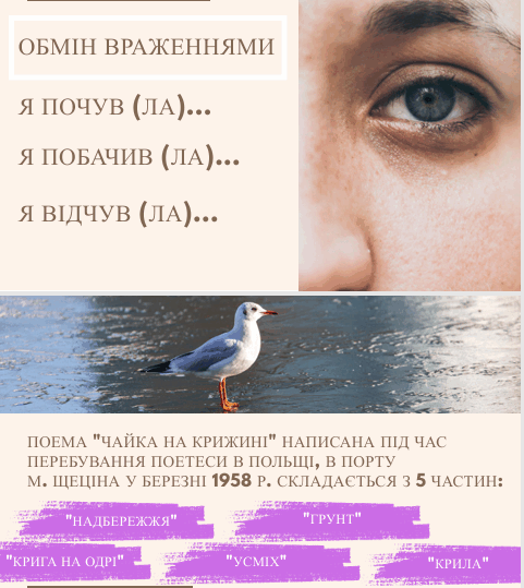 0902ak2x-3758-481x539.png