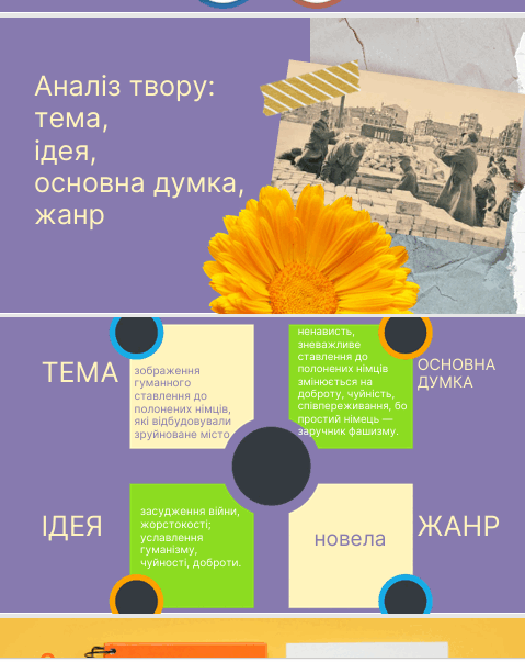 0902ak5z-7137-479x603.png