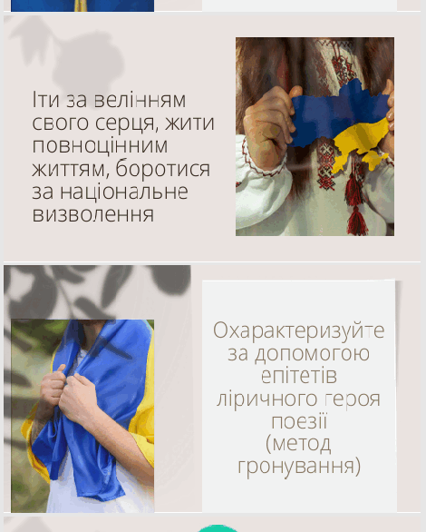0902ak6t-fd1b-470x586.png