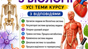Завдання «Так або Ні» 8 клас з відповідями для вчителя