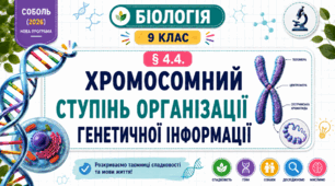 Хромосомний ступінь організації генетичної інформації. Презентація, інфографіка, робочий аркуш
