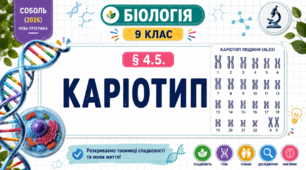 Каріотип. Презентація, інфографіка, робочий аркуш