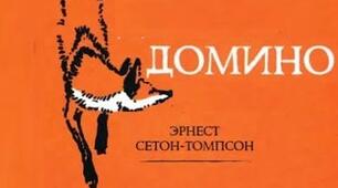 Сетон-Томпсон, «Доміно».