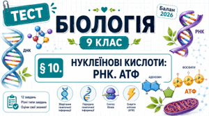 Нуклеїнові кислоти: РНК. АТФ 