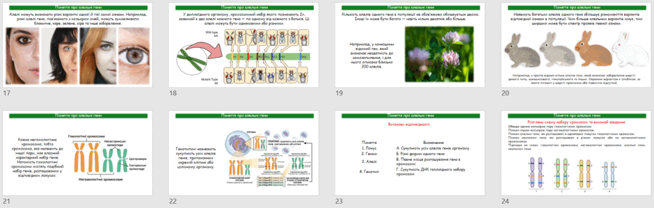 0902anc2-1c38-940x299.png