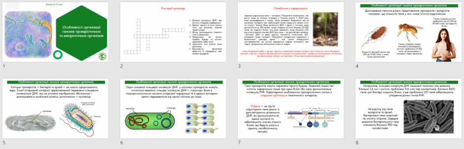 0902anco-19fd-940x302.png