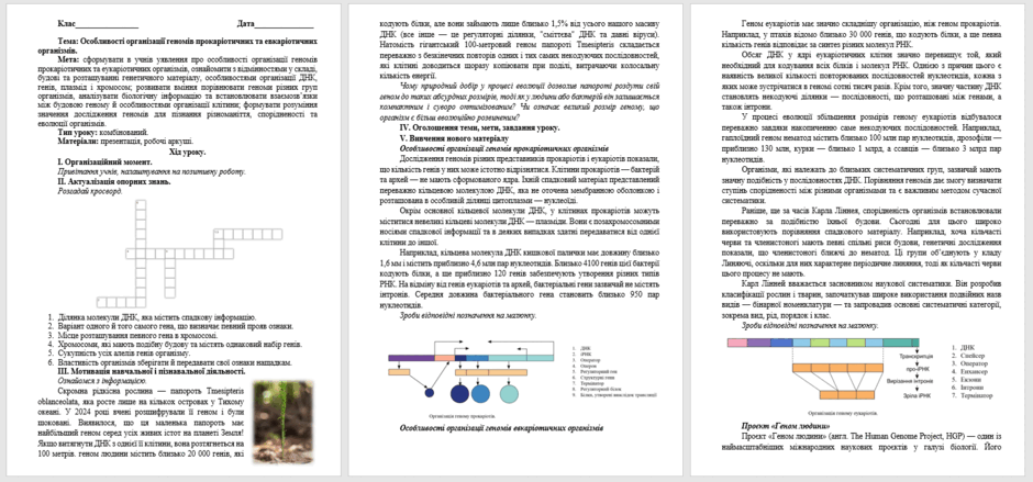 0902ancx-73a3-940x439.png