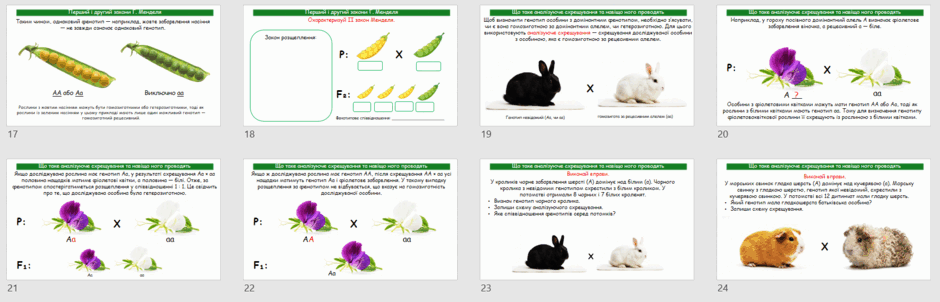 0902ao3h-1b96-940x302.png