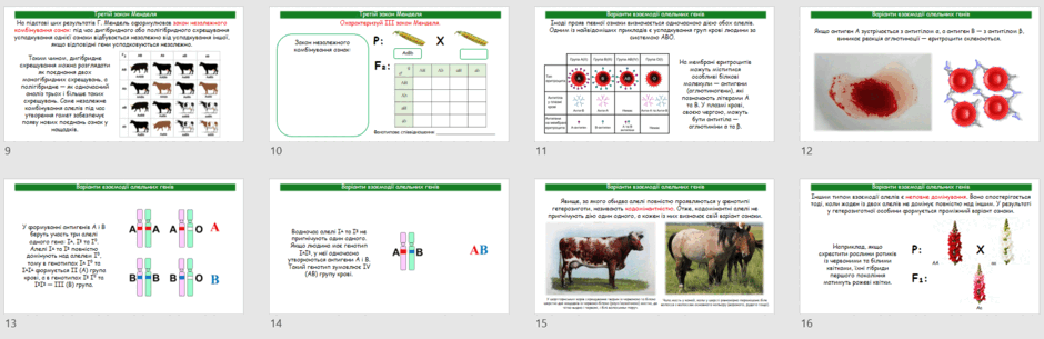 0902ao4h-01c8-940x305.png