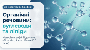 Презентація "§ 6. Органічні речовини: вуглеводи та ліпіди" 9 клас НУШ