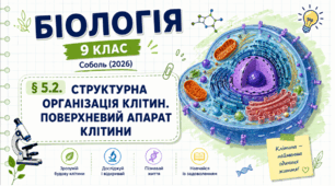 Структурна організація клітин. Поверхневий апарат клітини. Презентація, інфографіка, робочий аркуш