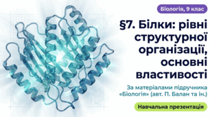 Презентація "§ 7. Білки: рівні структурної організації, основні властивості" 9 клас НУШ