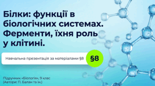 Презентація "§ 8. Білки: функції в біологічних системах. Ферменти, їхня роль у клітині" 9 клас НУШ