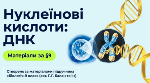 Презентація "§ 9. Нуклеїнові кислоти: ДНК" 9 клас НУШ
