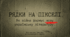 Як війна формує нову українську літературу.