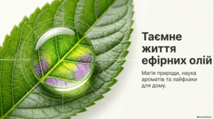 Ефірні олії: історія, наука та побутове застосування.