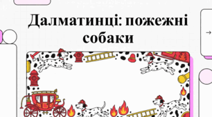 Охоронець пожежного автомобіля: далматинець в історії пожежної справи.