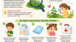«Ой, кропива жалиться!»: чому кропива жалить і що робити після контакту — пам’ятка для батьків