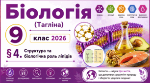 Структура та біологічна роль ліпідів. Презентація, інфографіка, робочий аркуш