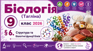 Структура та біологічні функції білків. Презентація, інфографіка, робочий аркуш